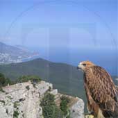 Відпочинок у Криму